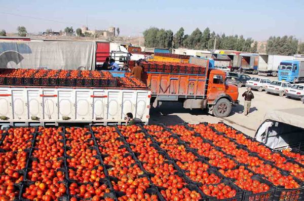 صفر تا صد صادرات مواد غذایی به افغانستان